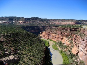 Dolores River Scenic Flights